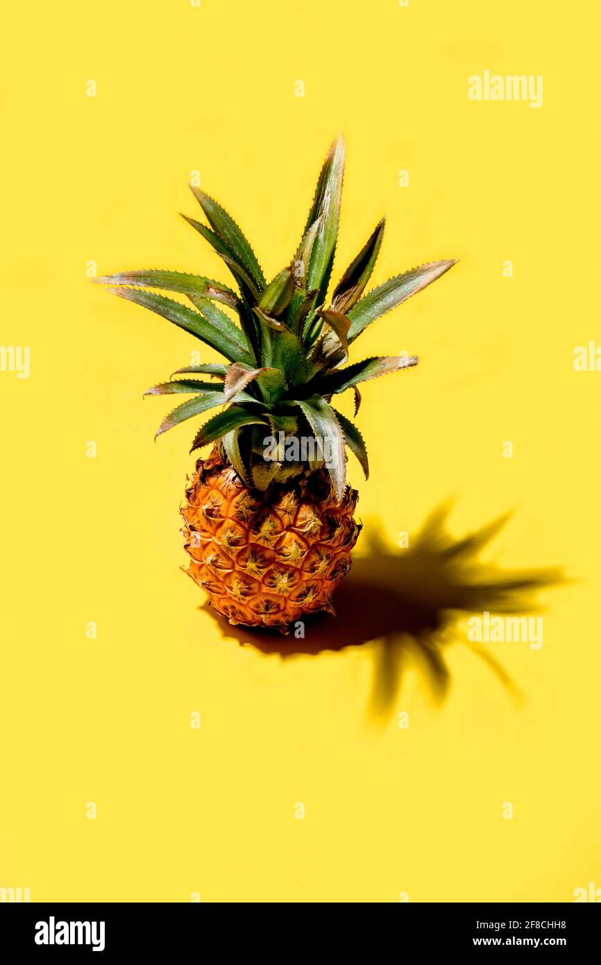 Mini pineapple on a solid yellow background Stock Photo