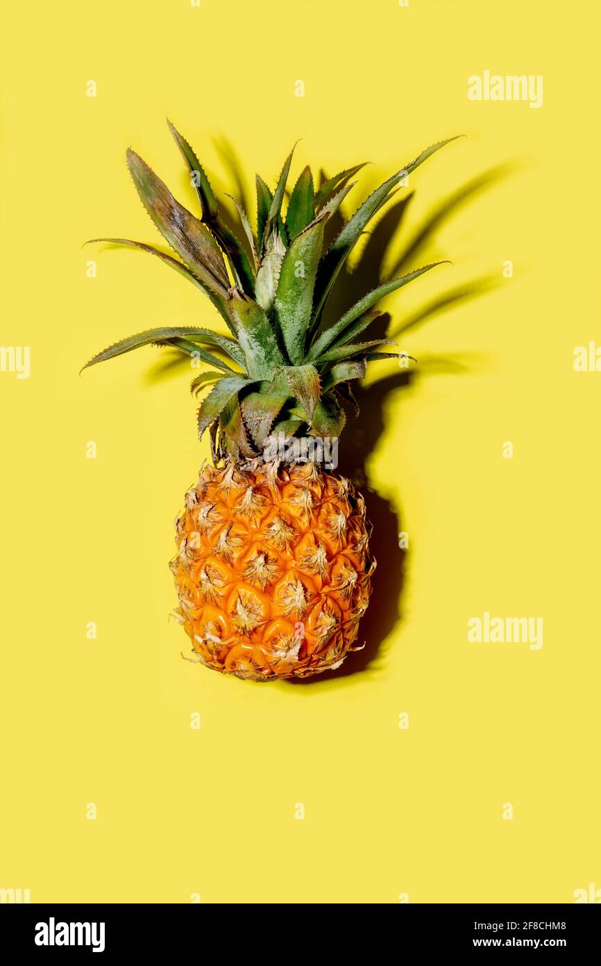 Mini pineapple on a solid yellow background Stock Photo