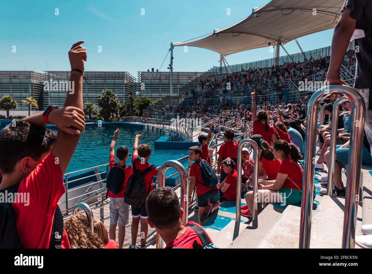 School students attending a dolphin show at L'Oceanografic in Valencia's City of Arts and Sciences, Spain. Stock Photo