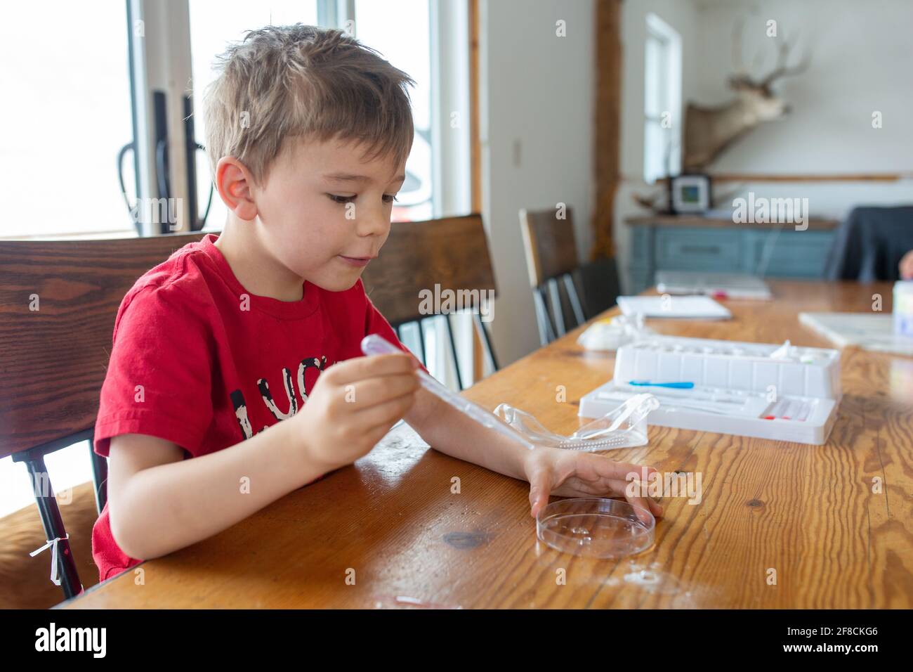 Boy doing science experiments at home at table Stock Photo
