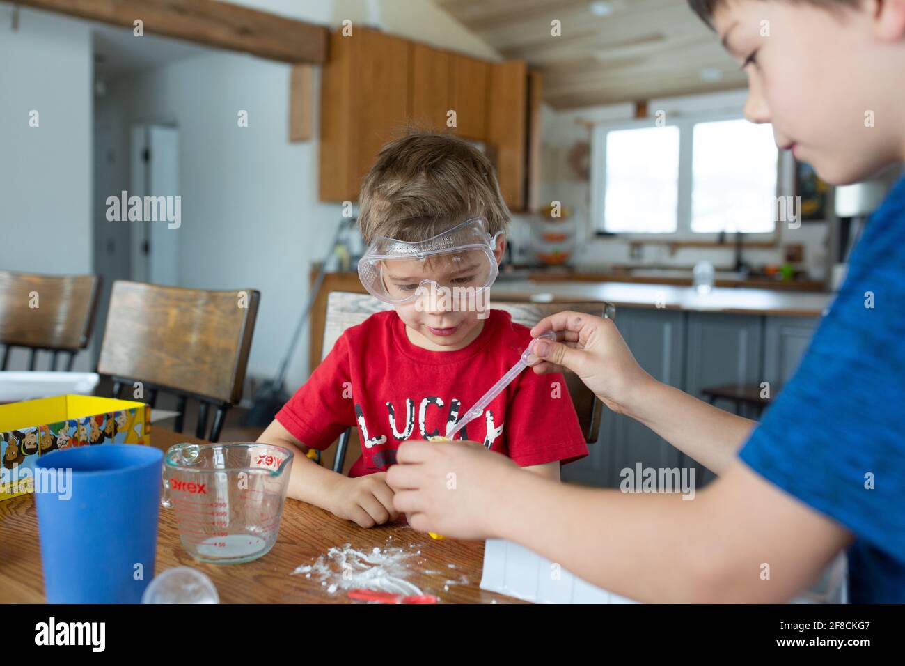 Brothers working together on science experiment at home Stock Photo