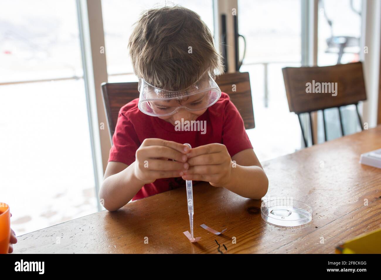 Little boy doing science experiments on kitchen table Stock Photo