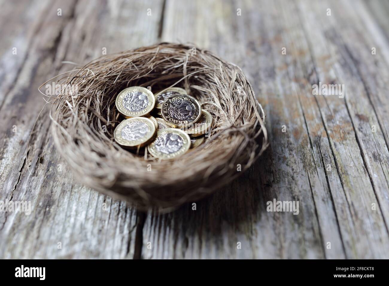 Retirement savings British pound coins in birds nest egg concept for pension plans Stock Photo