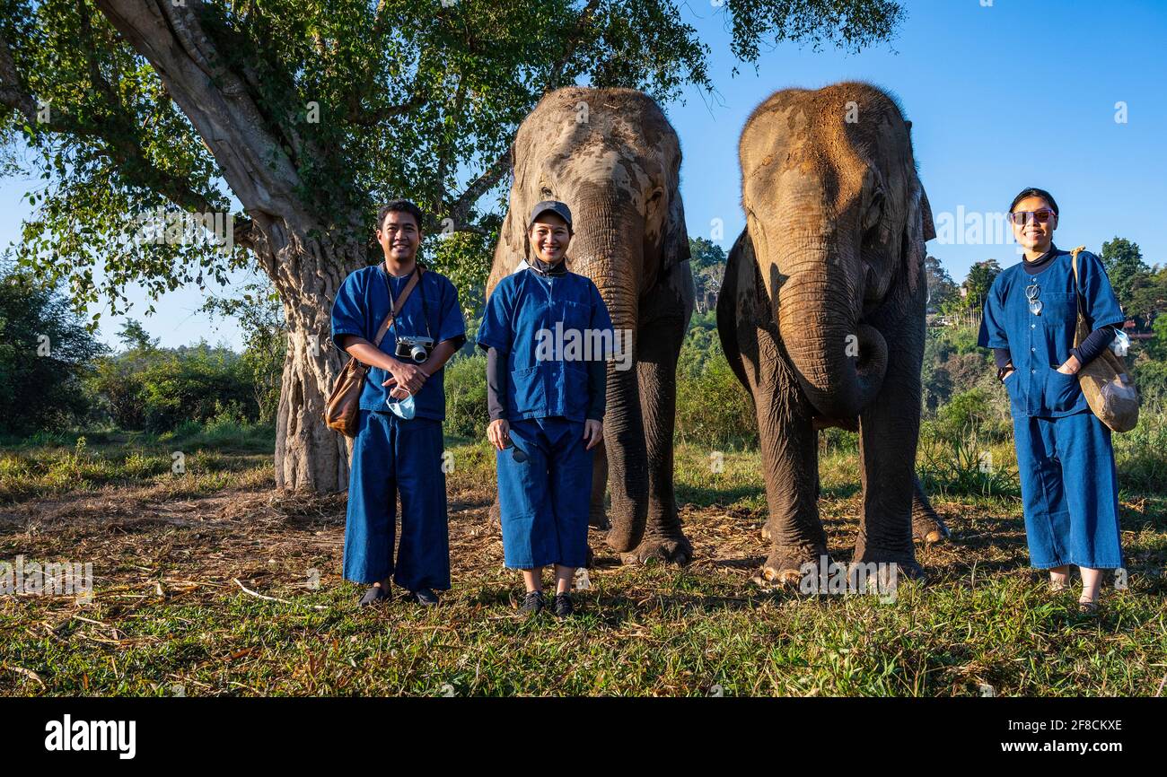 friends with elephant's at animal sanctuary in the golden triangle Stock Photo
