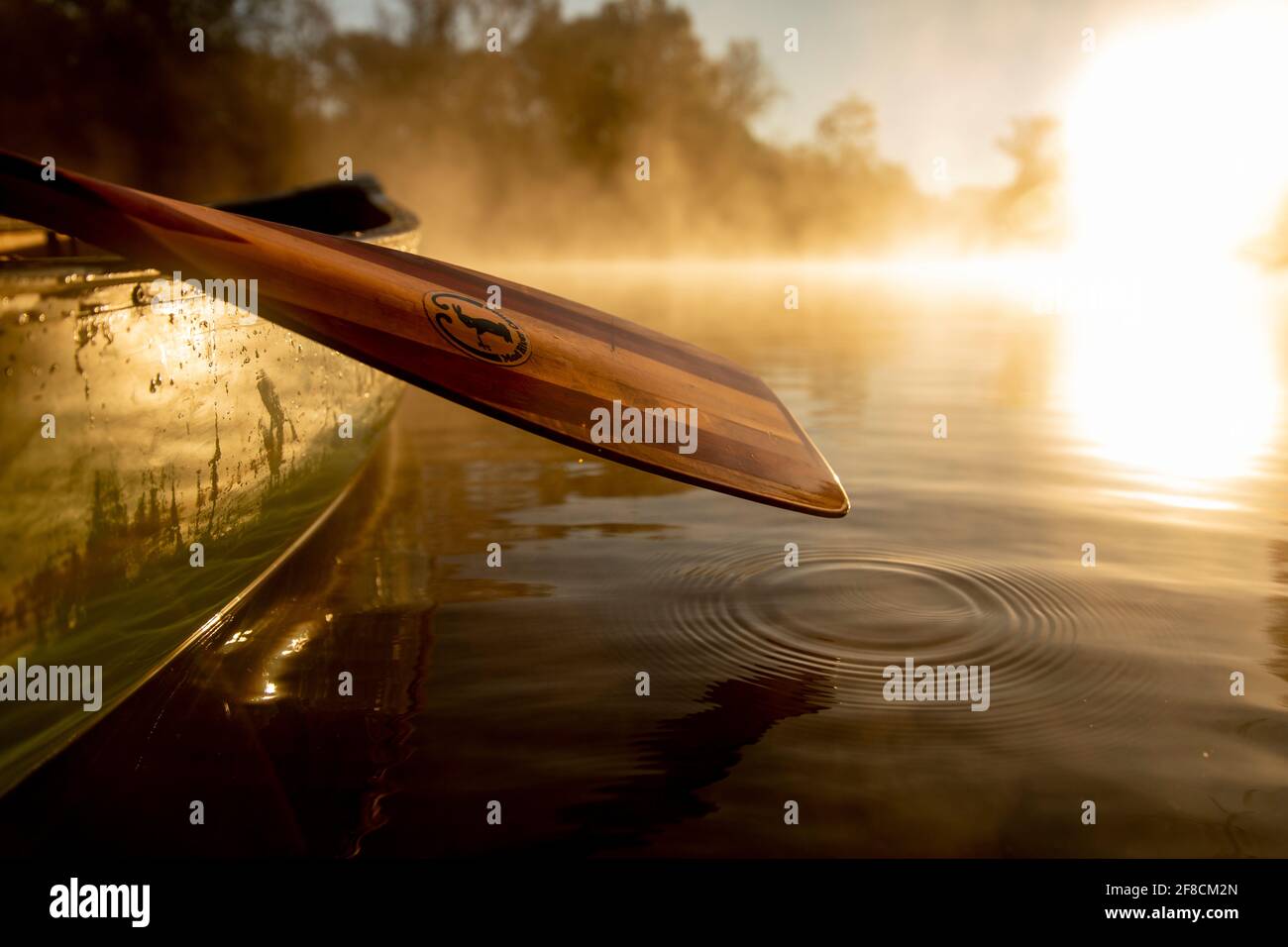 Sunrise canoe ride on foggy river Stock Photo Alamy
