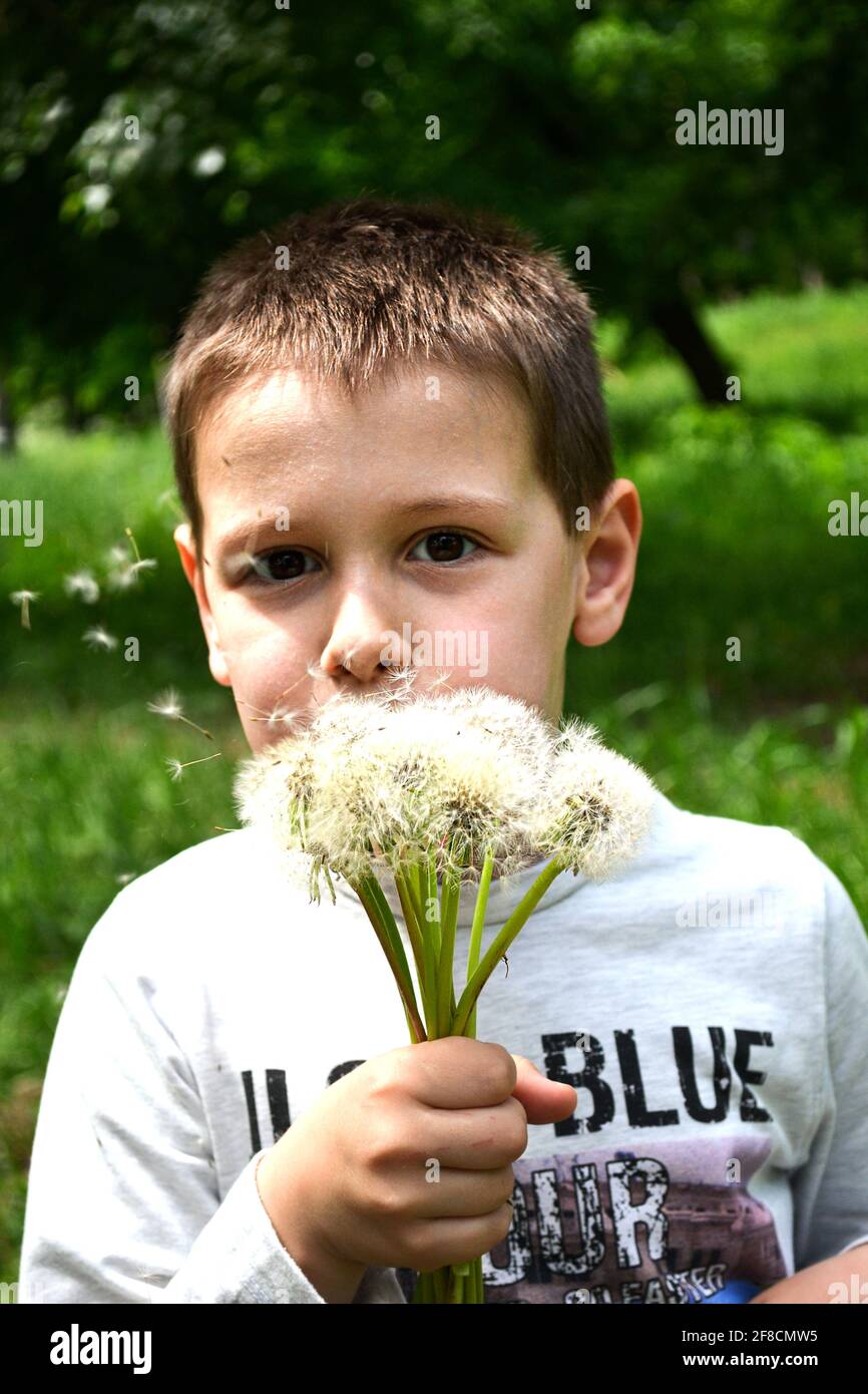 beautiful boy with brown eyes blowing on dandelions Stock Photo