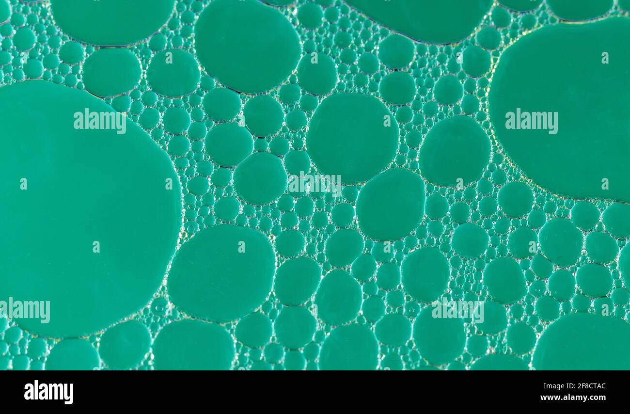 Turquoise Floral Bubble