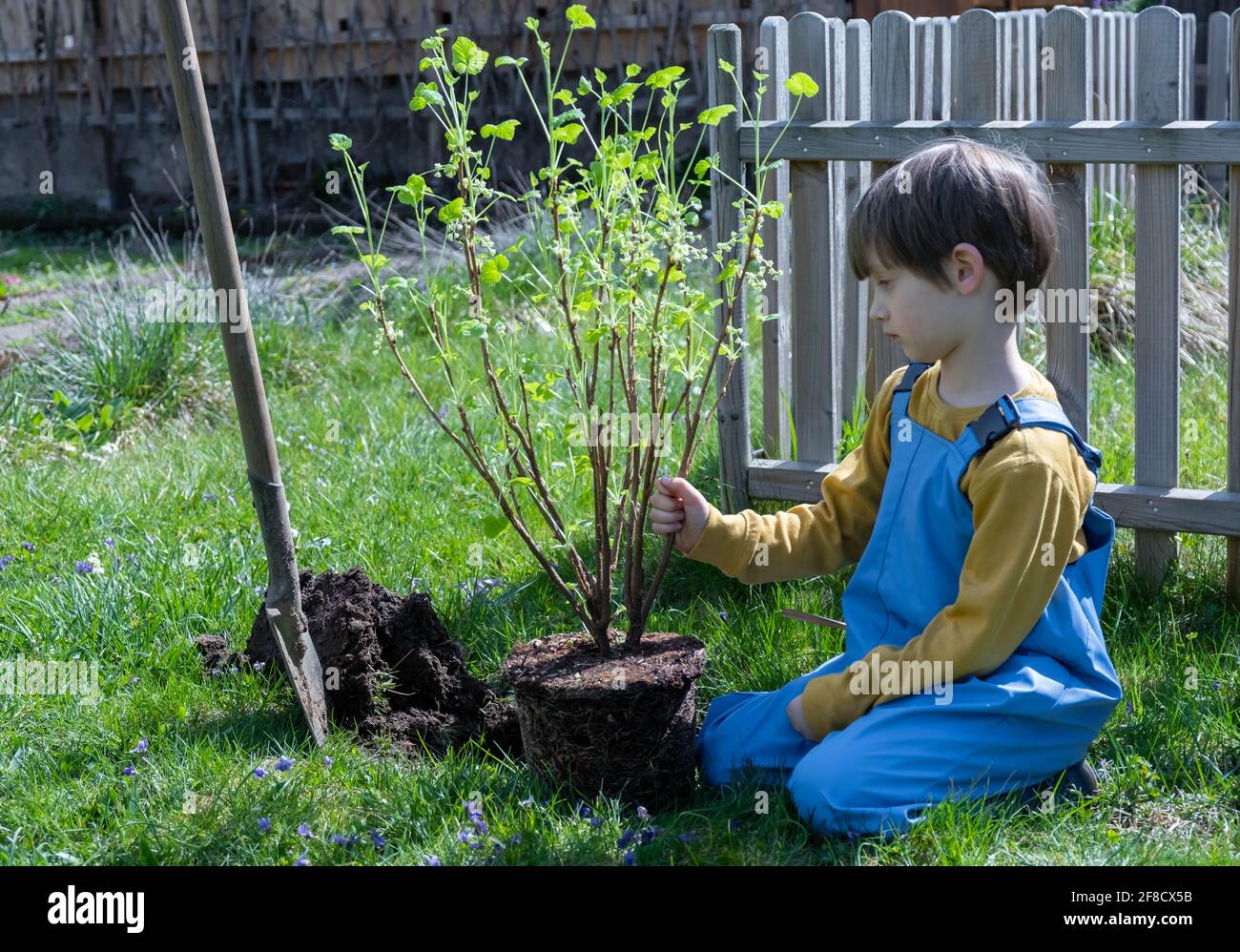 Little helper in the garden Stock Photo - Alamy