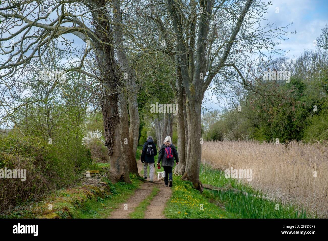 Two women with a dog walking along the tow path of the disused Thames and Severn canal near Cerney Wick part of the Cotswold Canal System Stock Photo