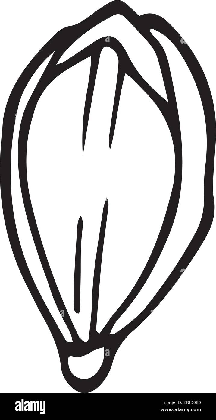 New poppy icon, hand drawn and outline style Stock Vector Image & Art ...