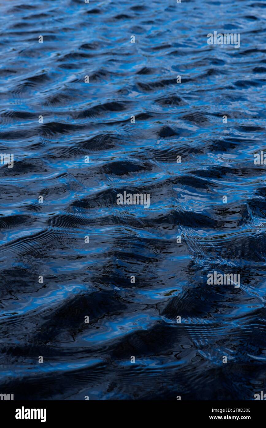 Ripples on flood water in parkland Stock Photo - Alamy