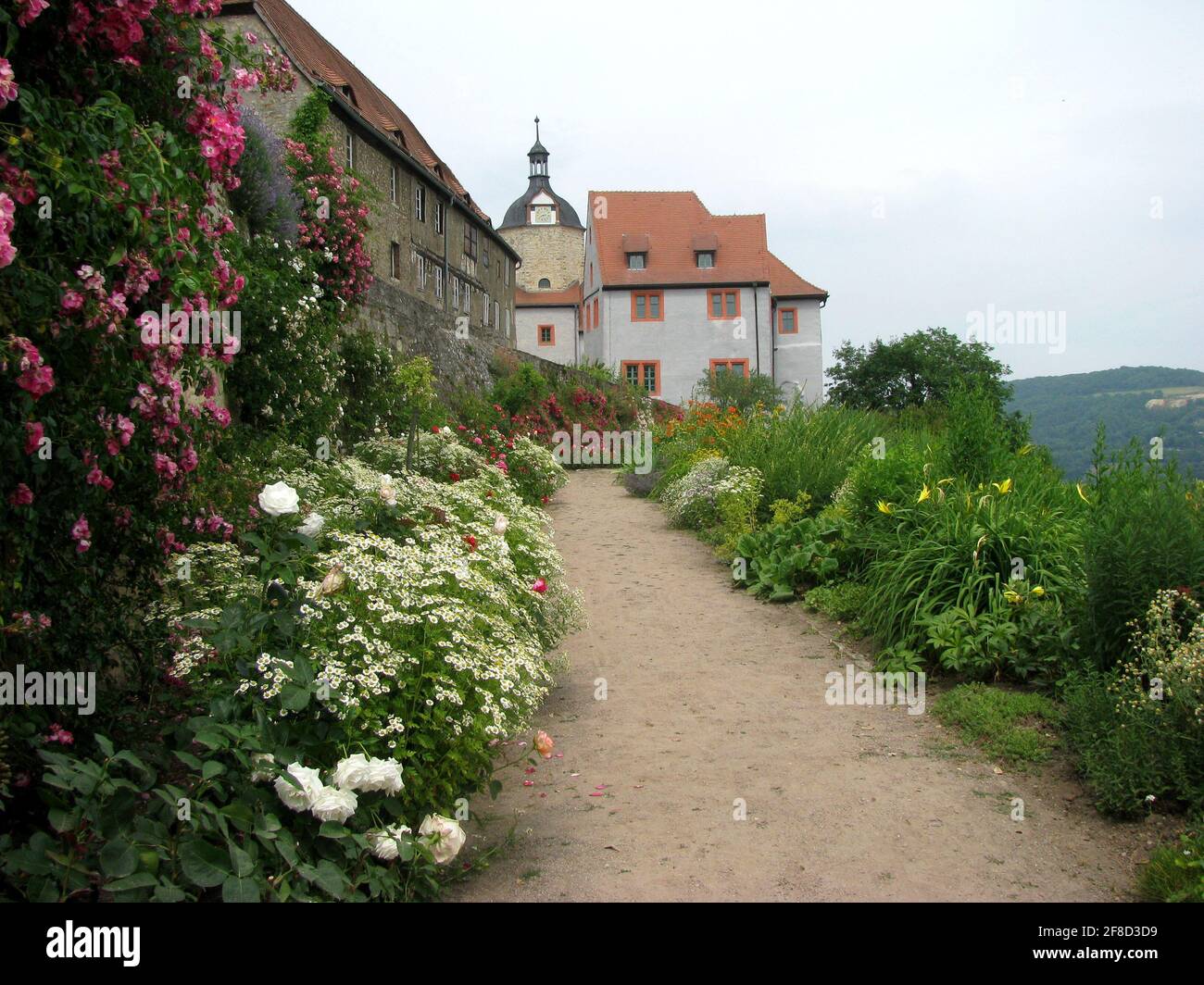 path and flowers at the Dornburger Schlösser, Germany Stock Photo