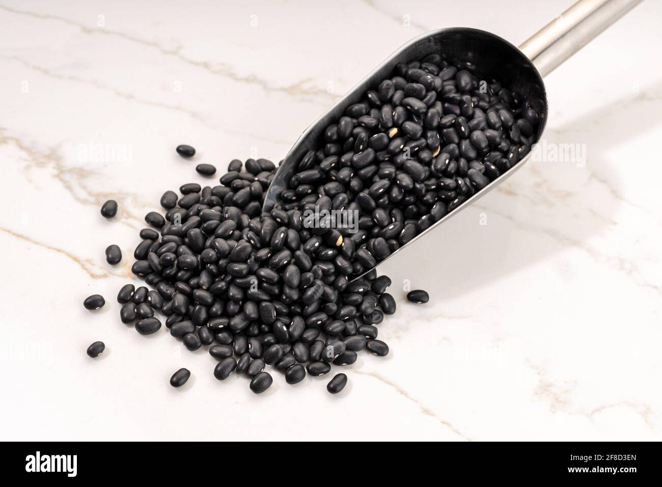 Uncooked Black turtle bean or frijoles on metallic scoop on white marble table. Phaseolus vulgaris Stock Photo