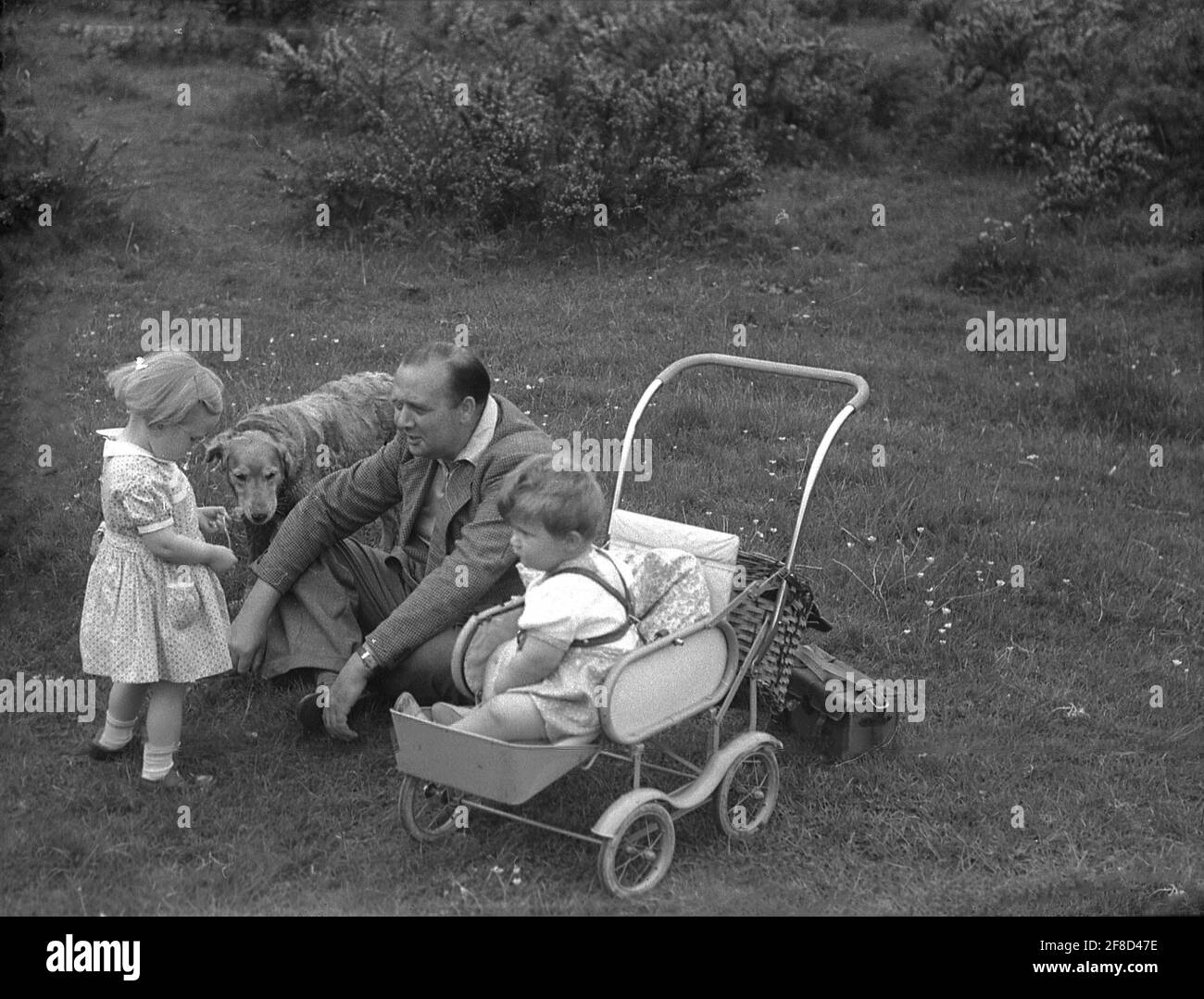 1950s, historical, sitting outside on a grassy spot, a father with his two young children, a toddler or infant sitting in a metal frame pushchair or buggy of the era, with attached footrest and pillow for support, and a little girl. Also with them, their pet dog. Stock Photo