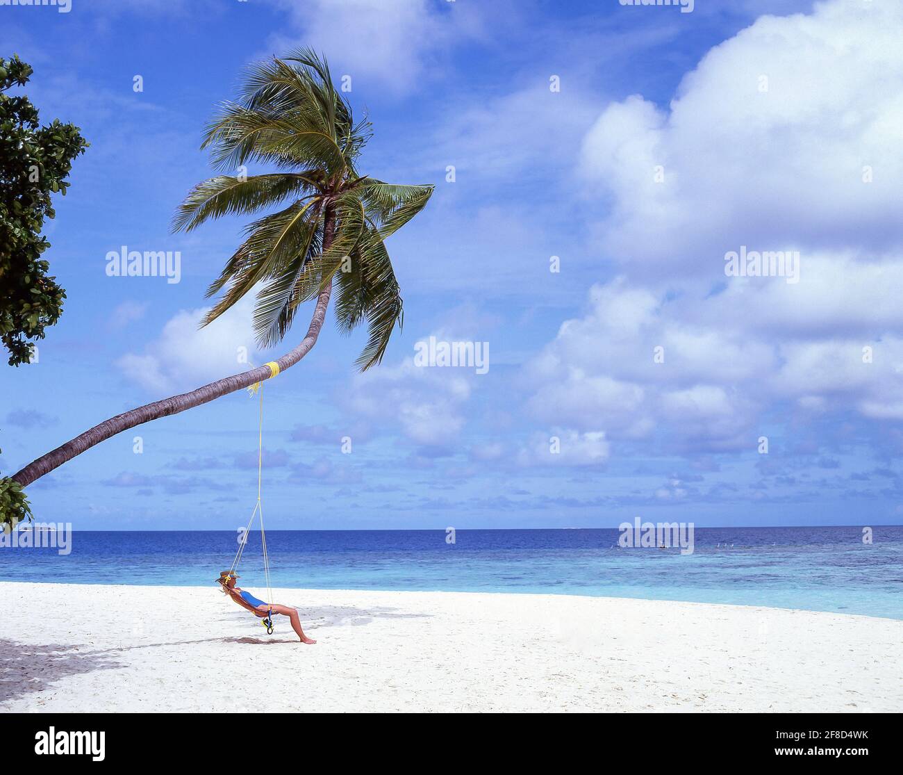 Young woman sitting beneath palm tree, Kuda Bandos, Kaafu Atoll, Republic of Maldives Stock Photo