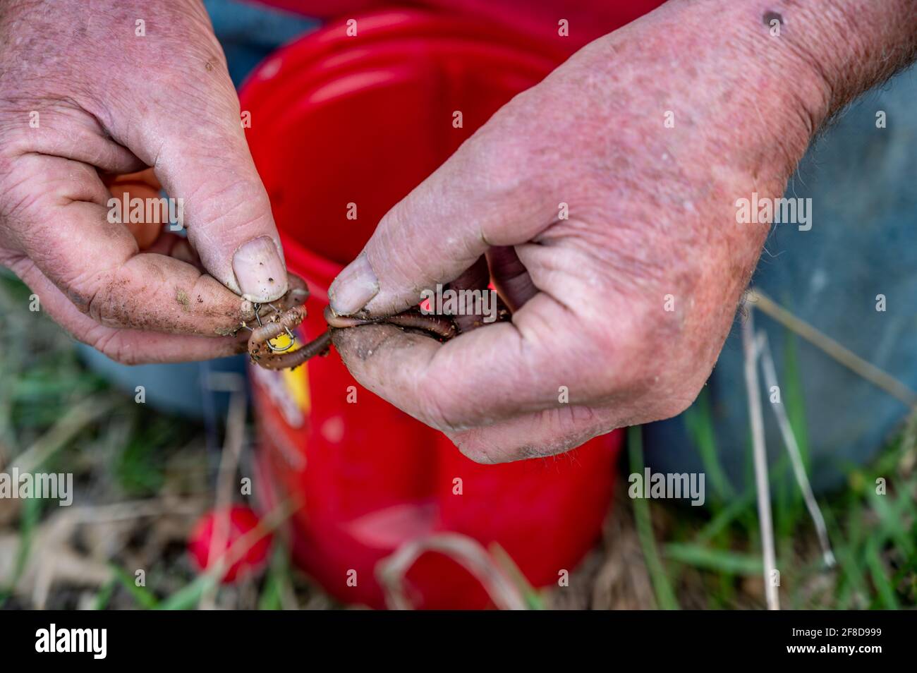 Baiting a hook stock image. Image of dock, dirt, hook - 25743929