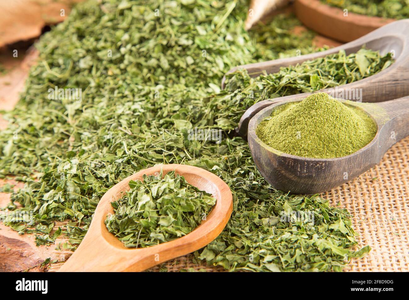 Leaves and moringa powder - Moringa oleifera Stock Photo - Alamy
