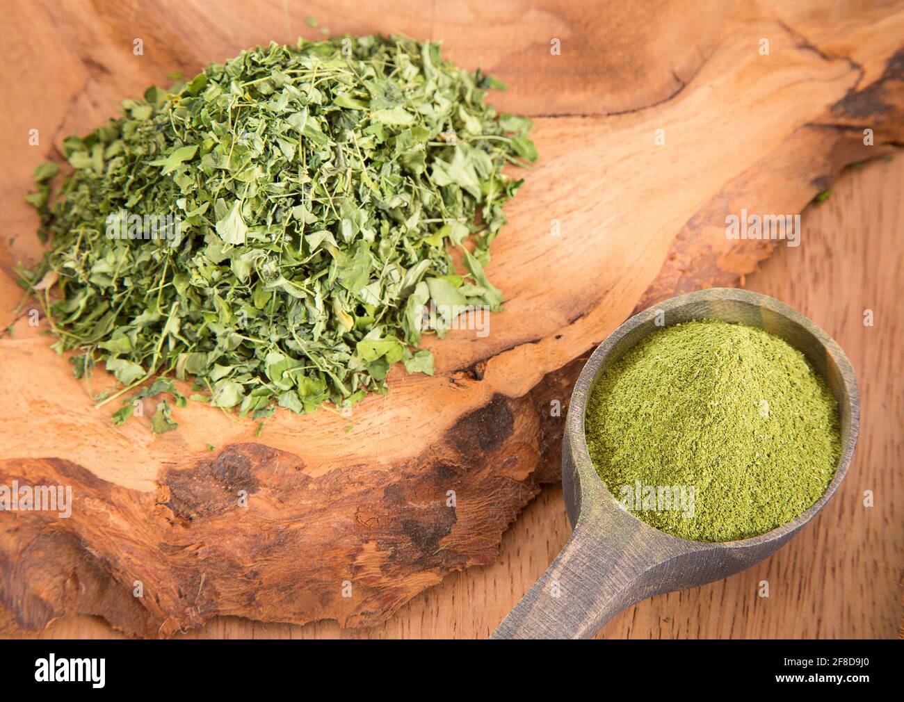 Leaves and moringa powder - Moringa oleifera Stock Photo - Alamy