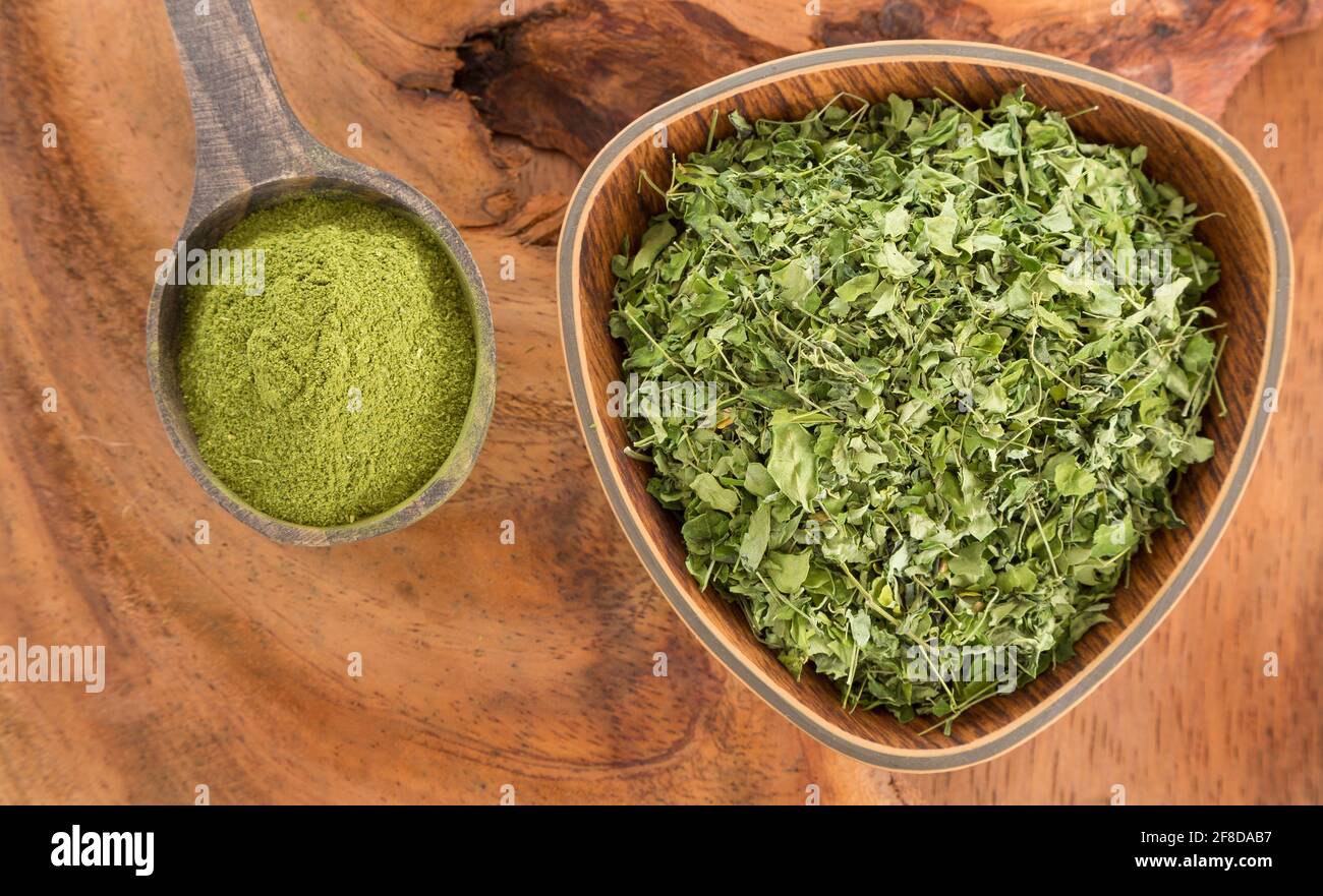 Leaves and moringa powder - Moringa oleifera Stock Photo - Alamy