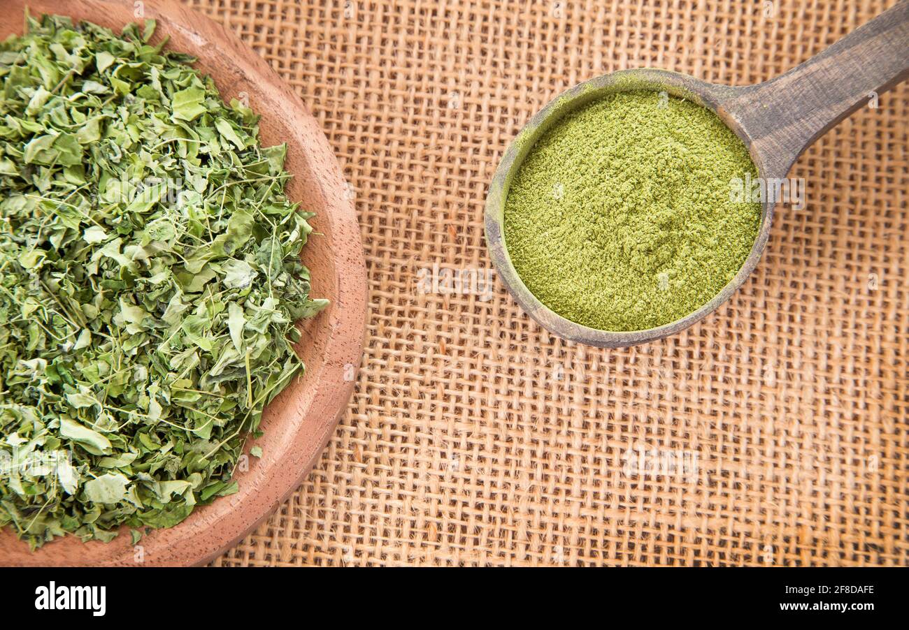 Leaves and moringa powder - Moringa oleifera Stock Photo - Alamy