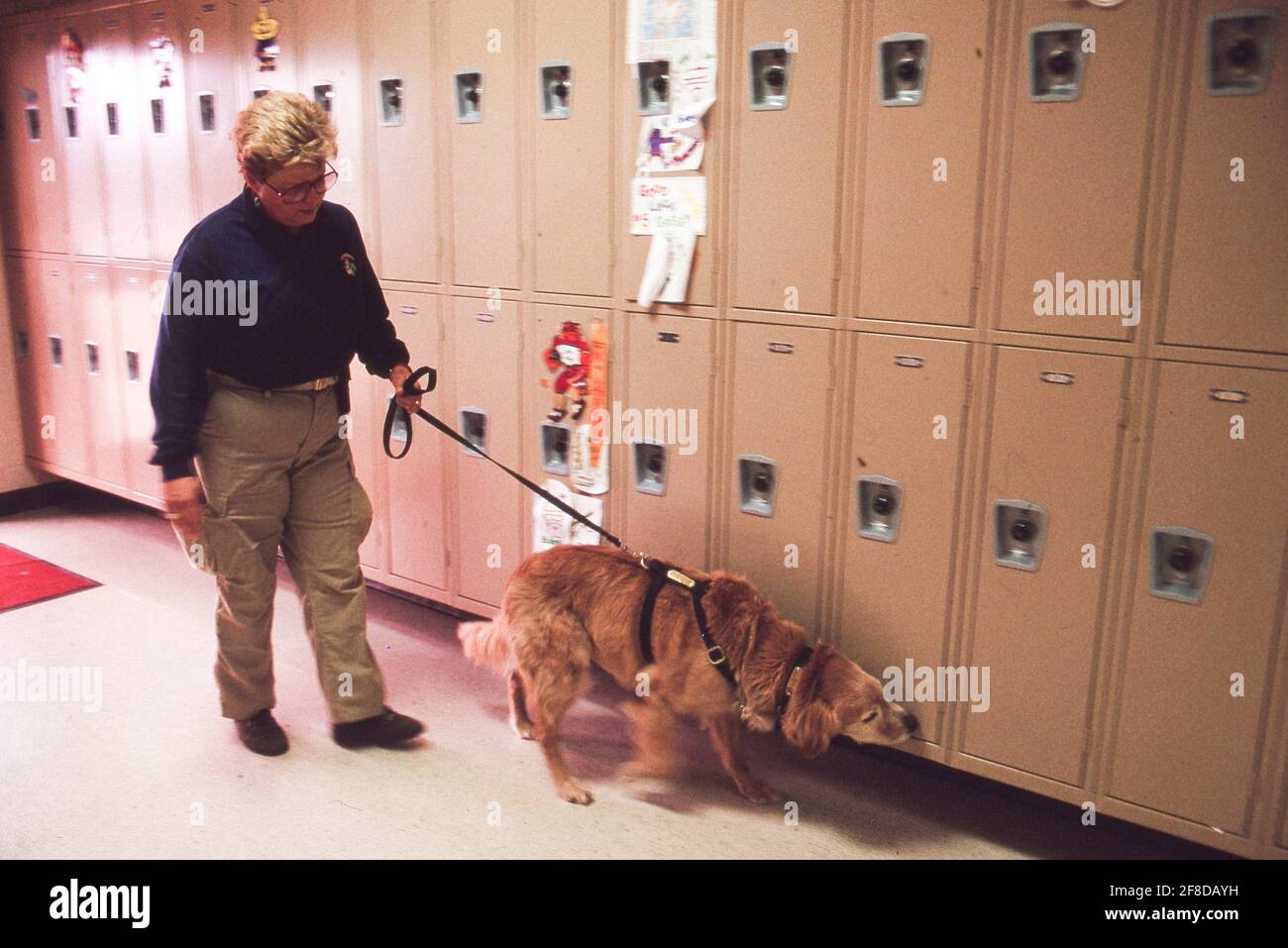 Drugsniffing dog and its handler checks lockers in high school
