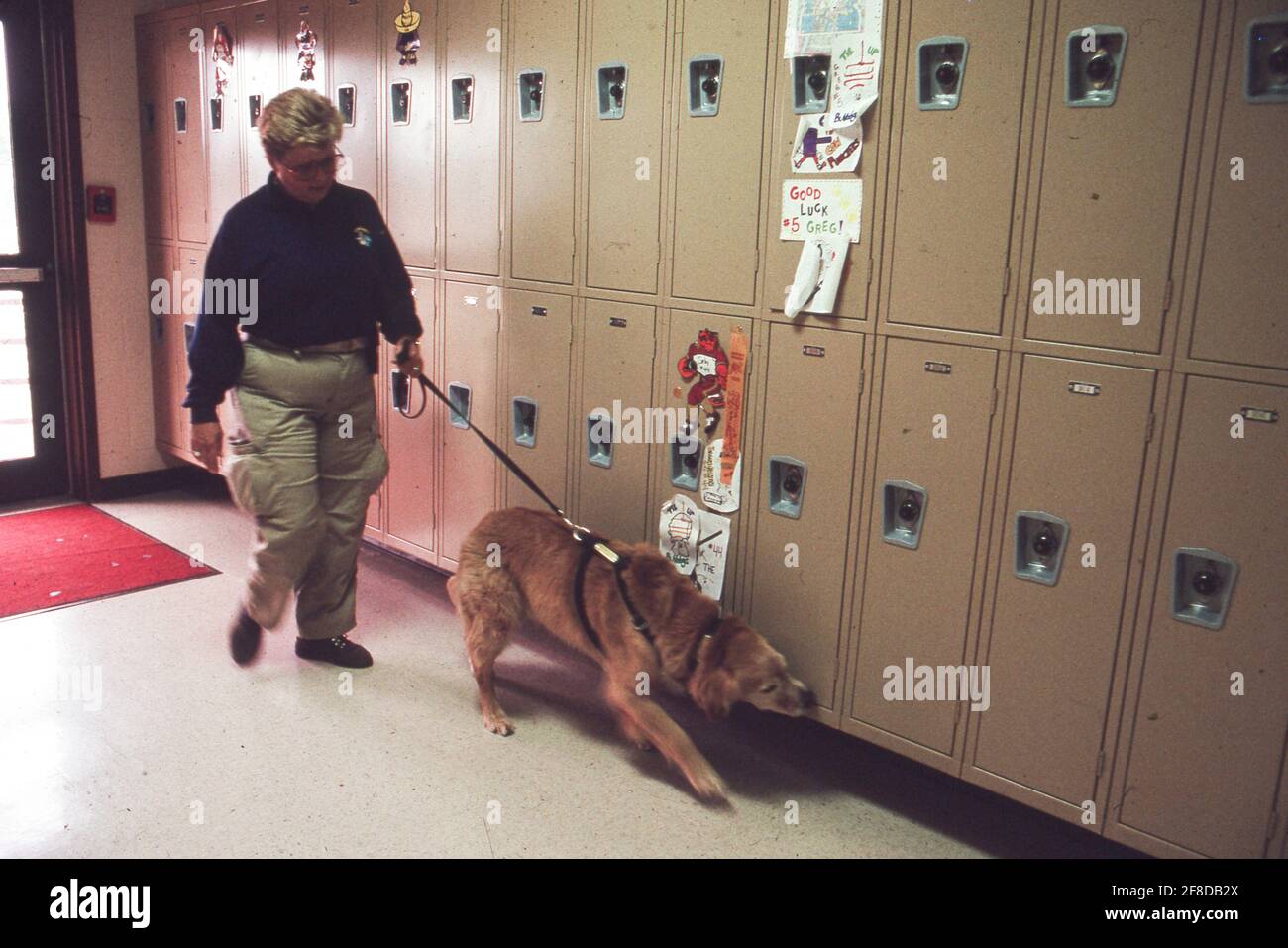 Drugsniffing dog and its handler checks lockers in high school