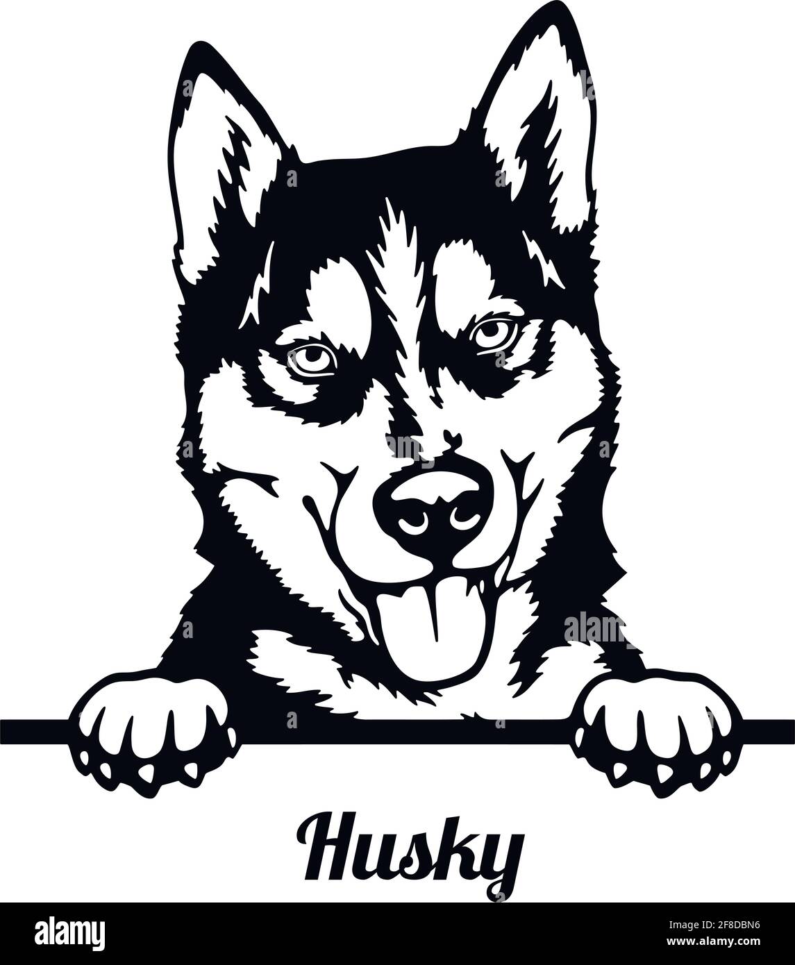 Husky Peeking Dog - head isolated on white Stock Vector