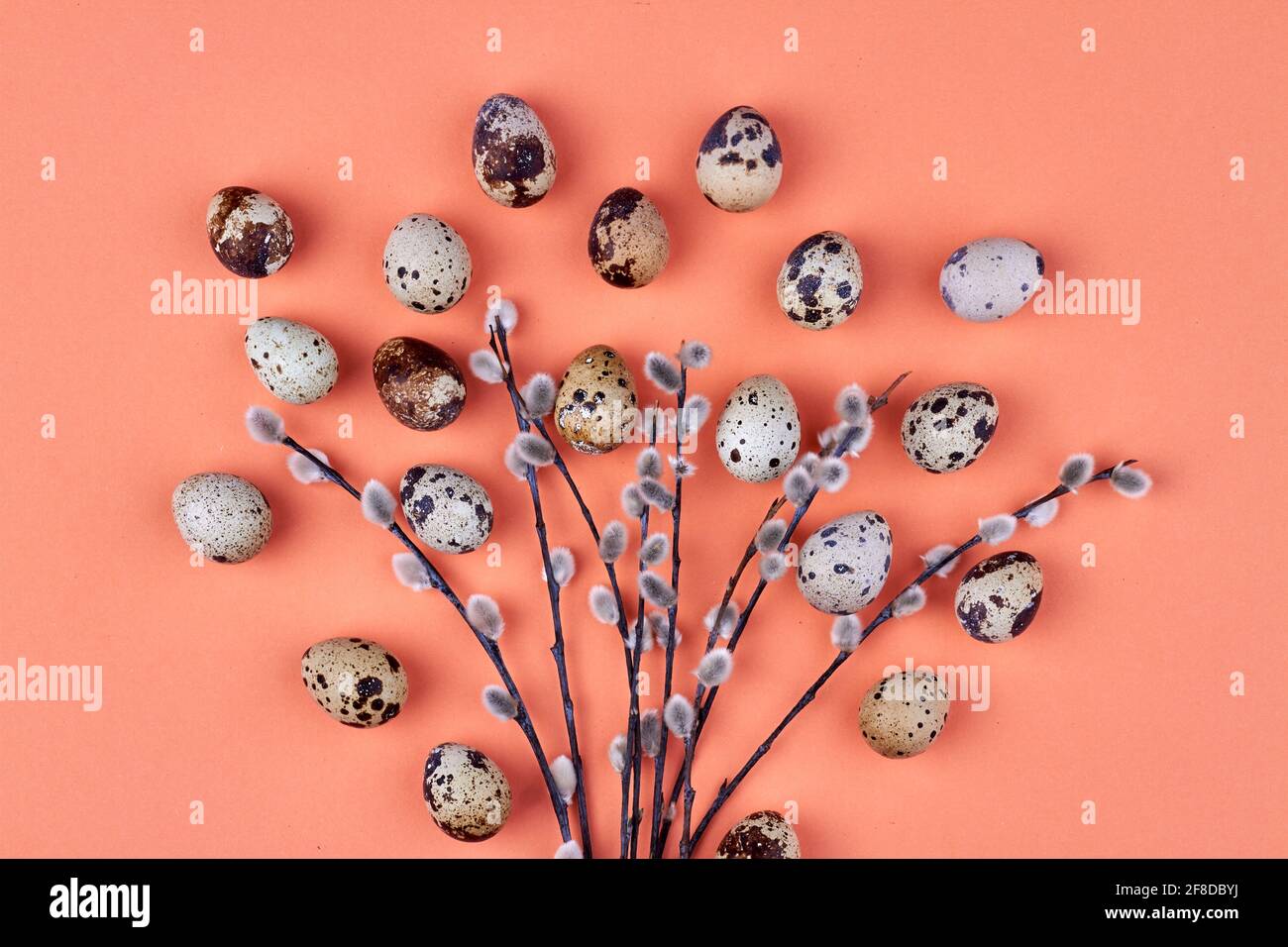 Composition of easter willow branches and quail eggs Stock Photo - Alamy