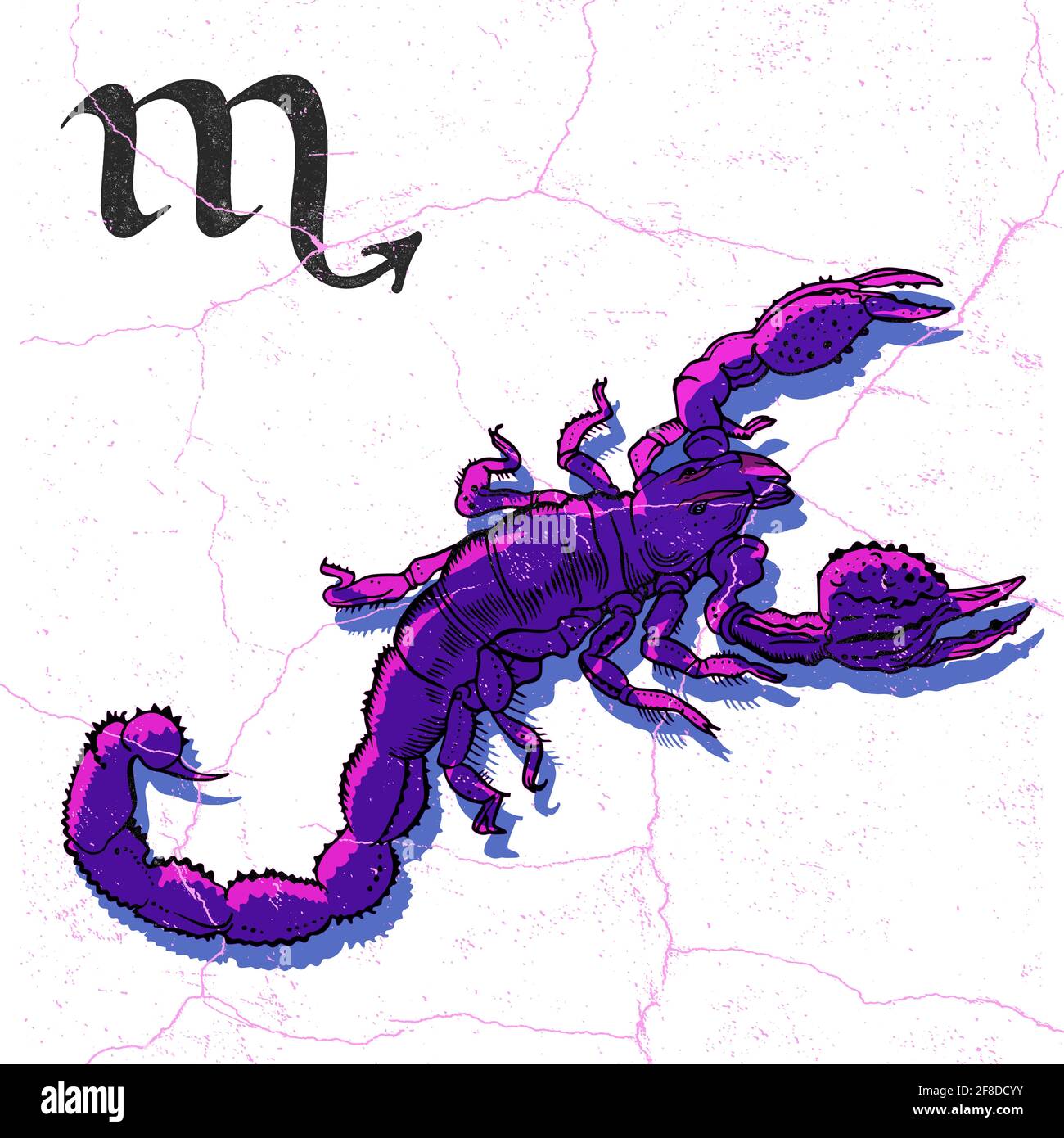 Ink pen drawing of scorpion. Scorpio Zodiac sign design in retro