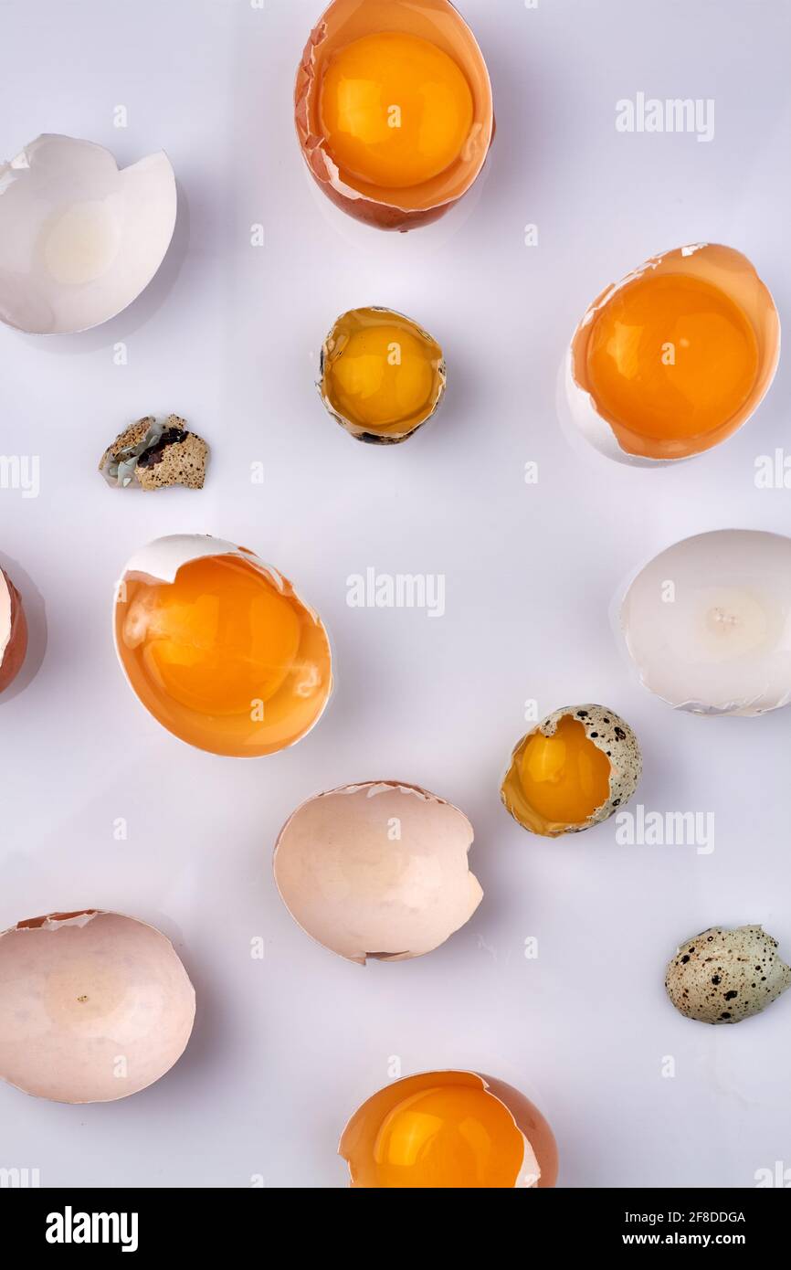 Vertical shot cracked eggshells with yolk. Stock Photo