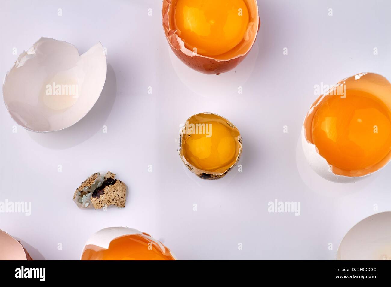 Top view egg yolks in eggshells. Stock Photo