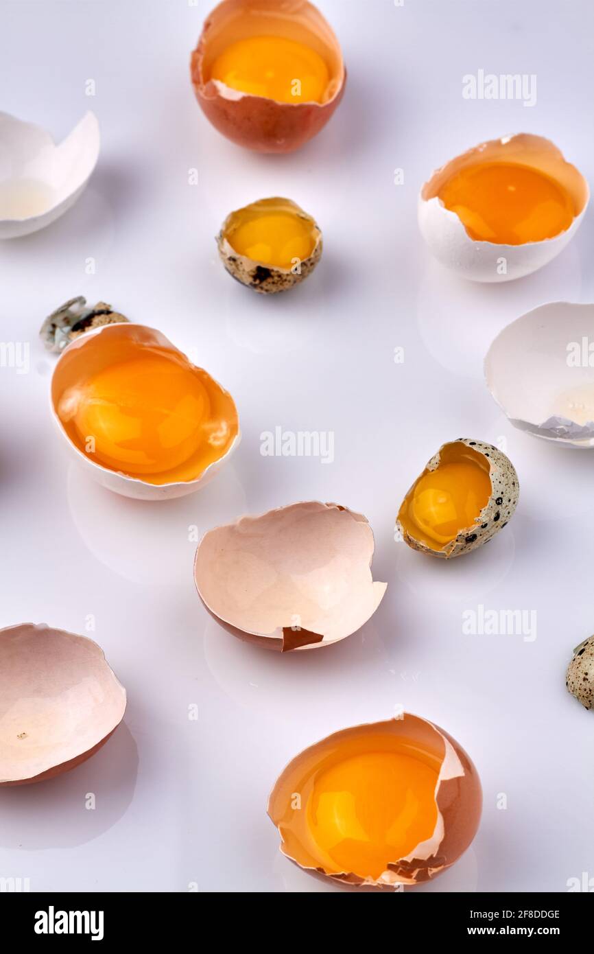 Chicken and quail eggshells with yolk. Stock Photo