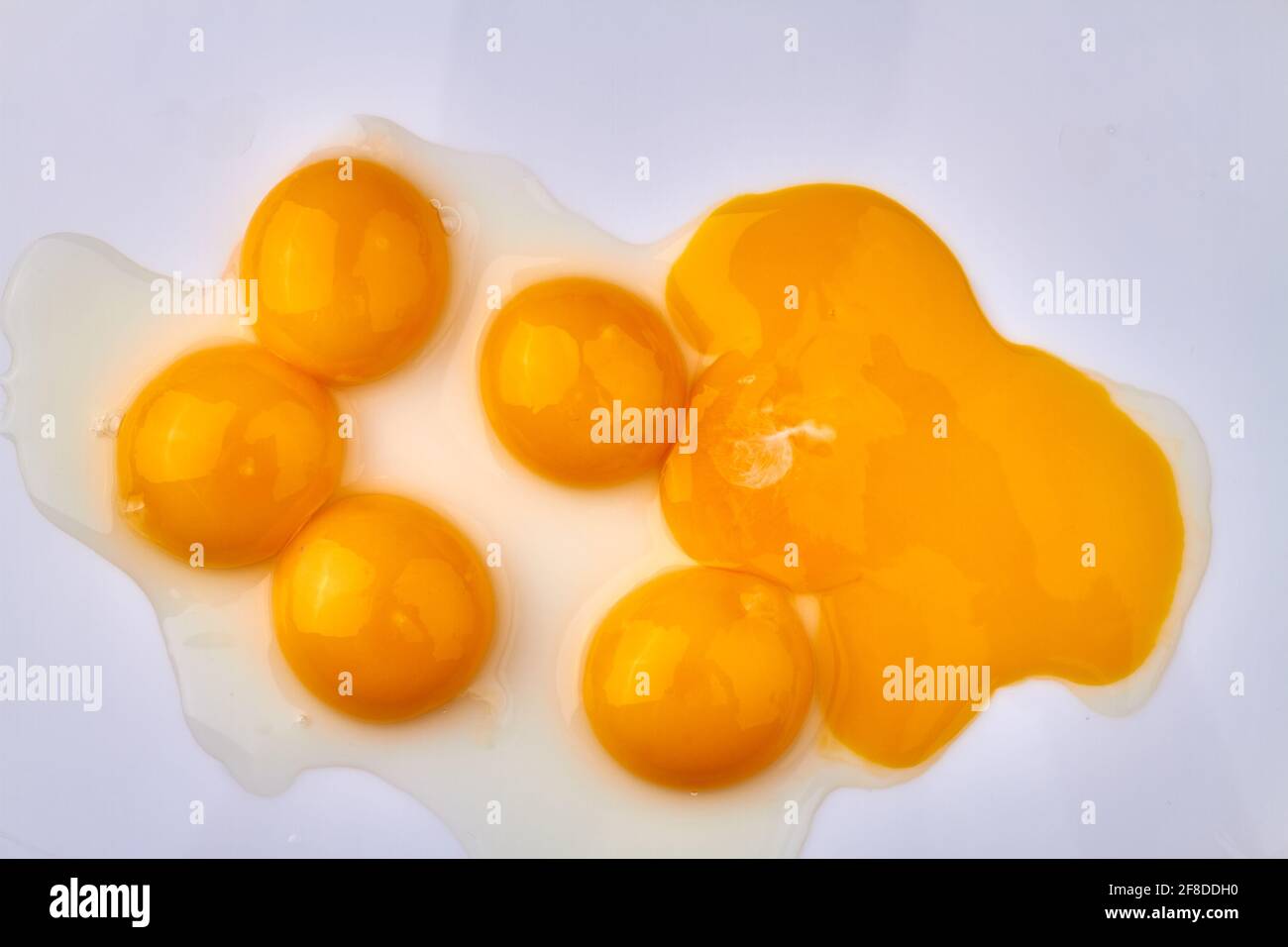 Chicken egg yolks on white background. Stock Photo