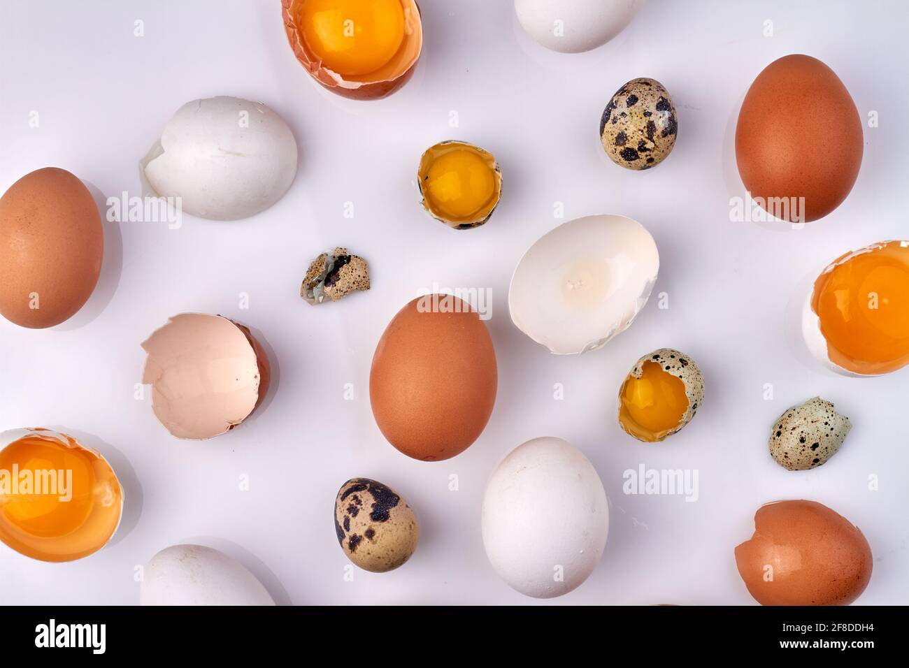 Many cracked eggshells isolated on white. Stock Photo