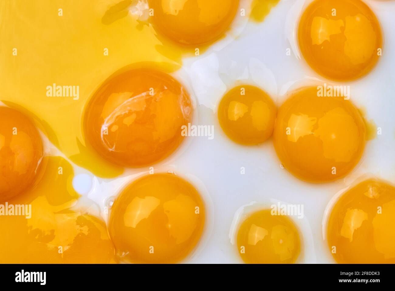 Top view chicken egg yelks on white surface. Stock Photo