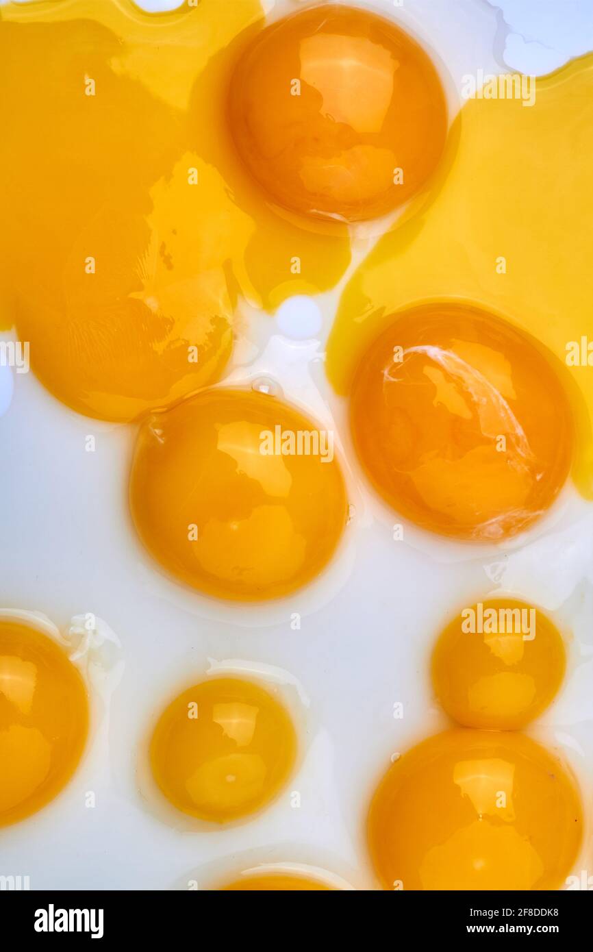 Vertical shot egg yolks on white background. Stock Photo