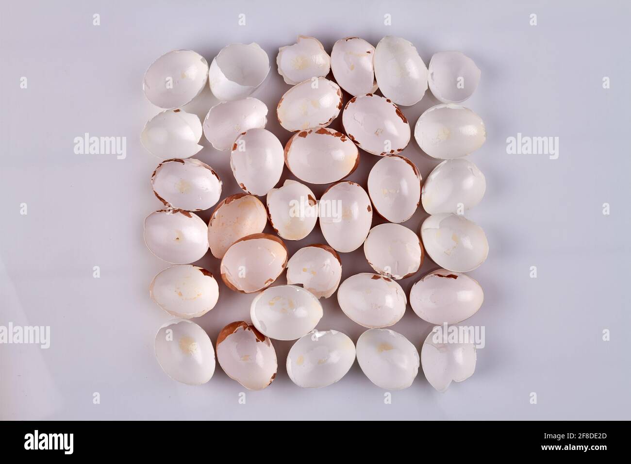 Top view hen shells on white surface. Stock Photo