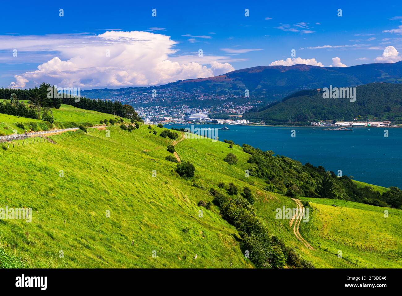 Otago Harbor from the Otago Peninsula, Dunedin, Otago, South Island