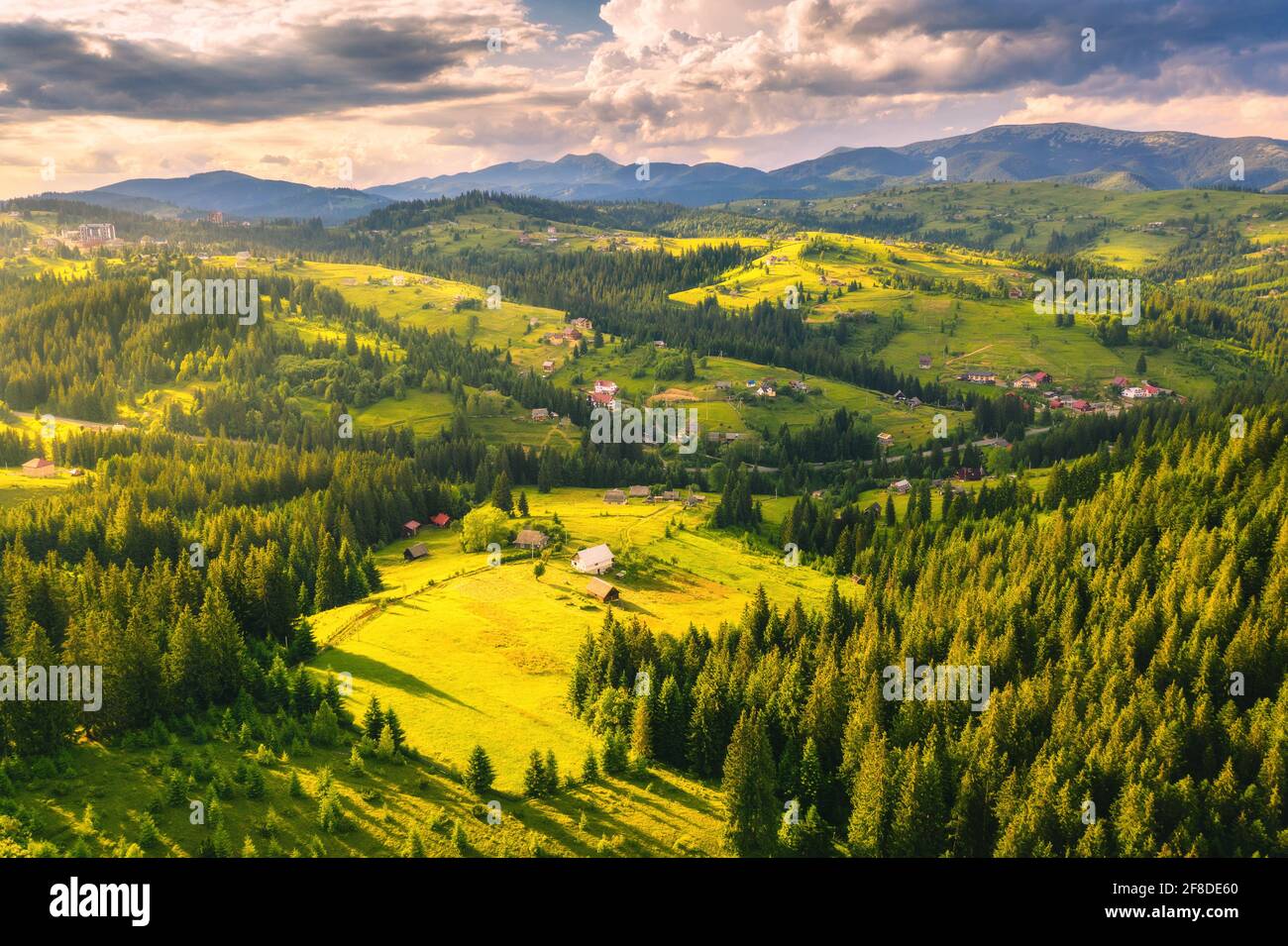 Aerial view of beautiful small village in Carpathian mountains at sunset in summer. Colorful landscape with green meadows, houses with gardens, pine t Stock Photo