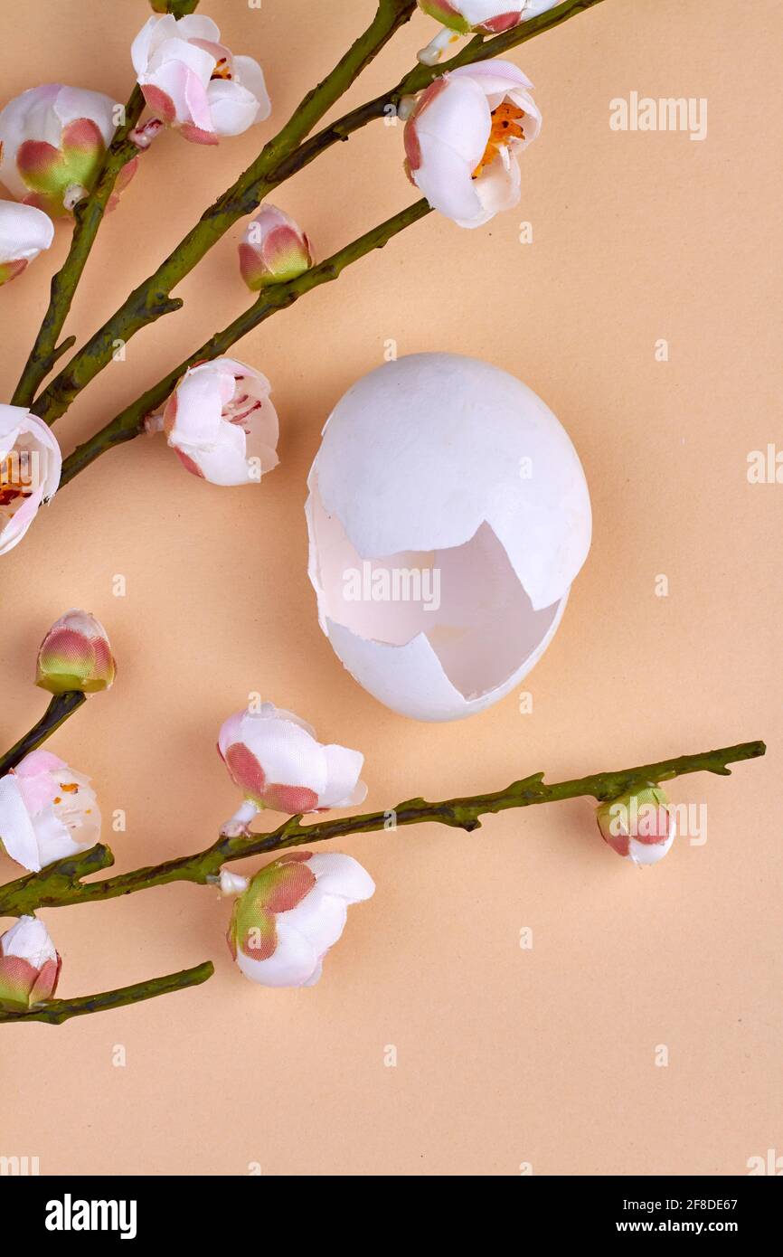 Empty broken chicken egg and flowers. Stock Photo
