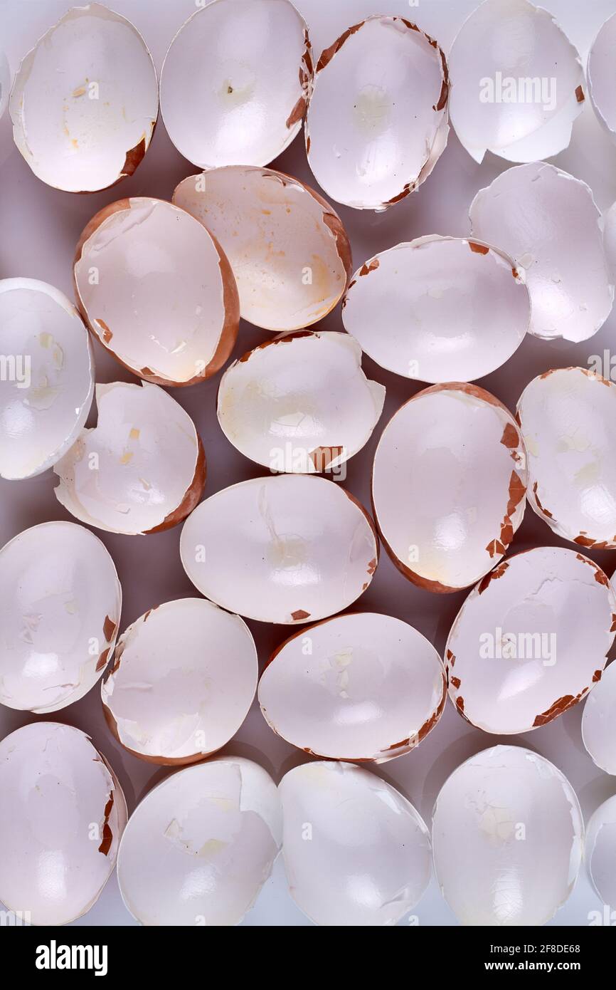 Collection of empty eggshells. Vertical shot top view. Stock Photo