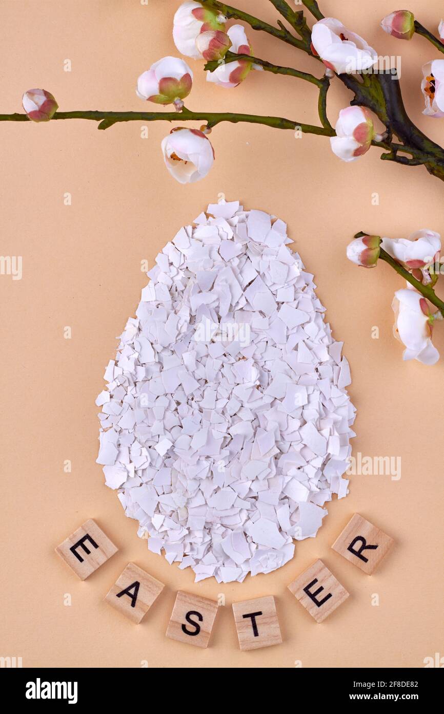 Eggshell shards and flower on beige background. Stock Photo