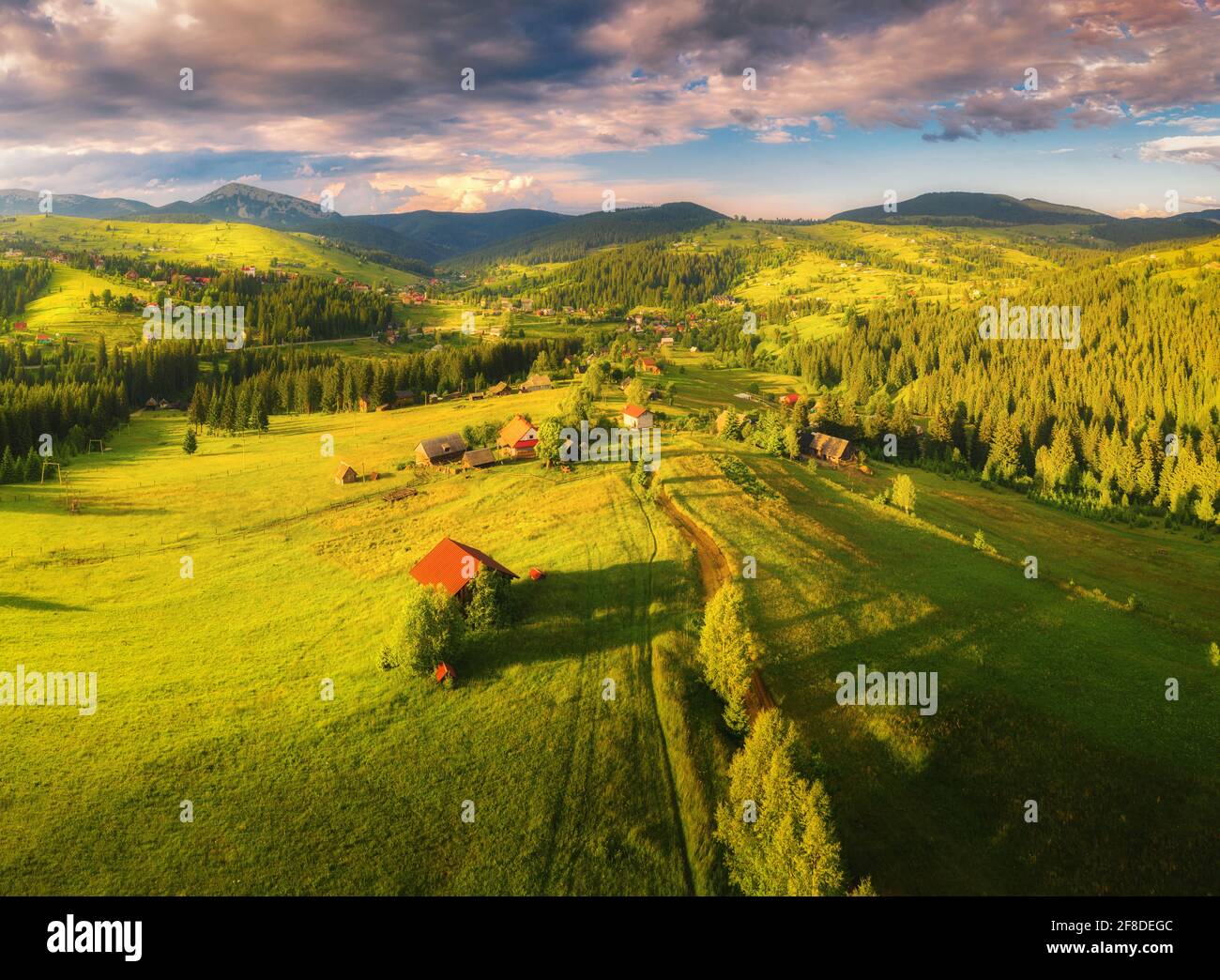 Aerial view of beautiful small village in Carpathian mountains at sunset in summer. Colorful landscape with green meadows, houses with gardens, pine t Stock Photo