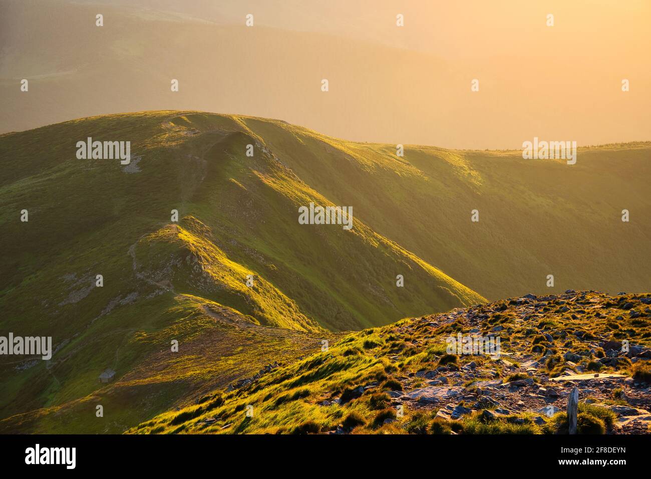 Mountains in fog at sunset in summer. Beautiful landscape Stock Photo