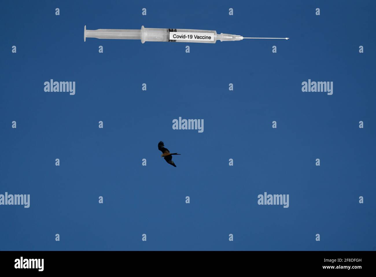 Sky with a red kite and a vaccination syringe Stock Photo