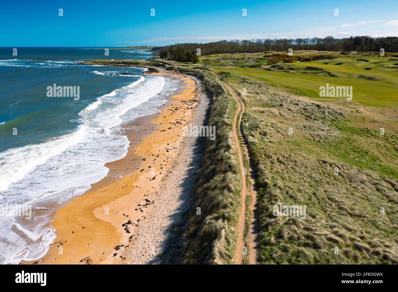 Aerial view from drone of Fife Coastal Path beside Kingsbarns Golf Links, Fife, Scotland, UK Stock Photo