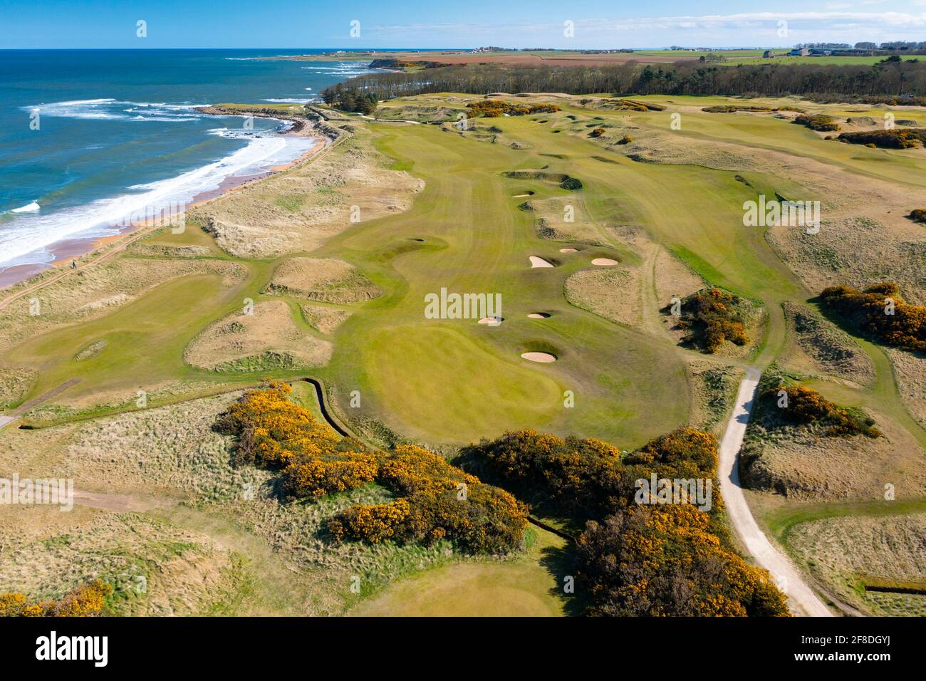 Aerial view from drone of Kingsbarns Golf Links, Fife, Scotland, UK Stock Photo