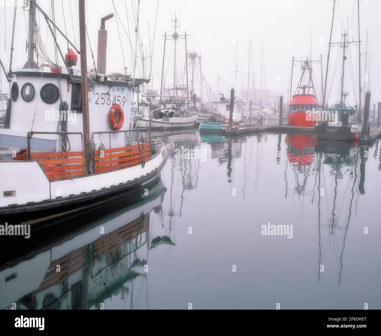 Lifting of morning fog reveals the commercial fishing fleet at Charleston Harbor on Oregon’s southern coastline near Coos Bay. Stock Photo
