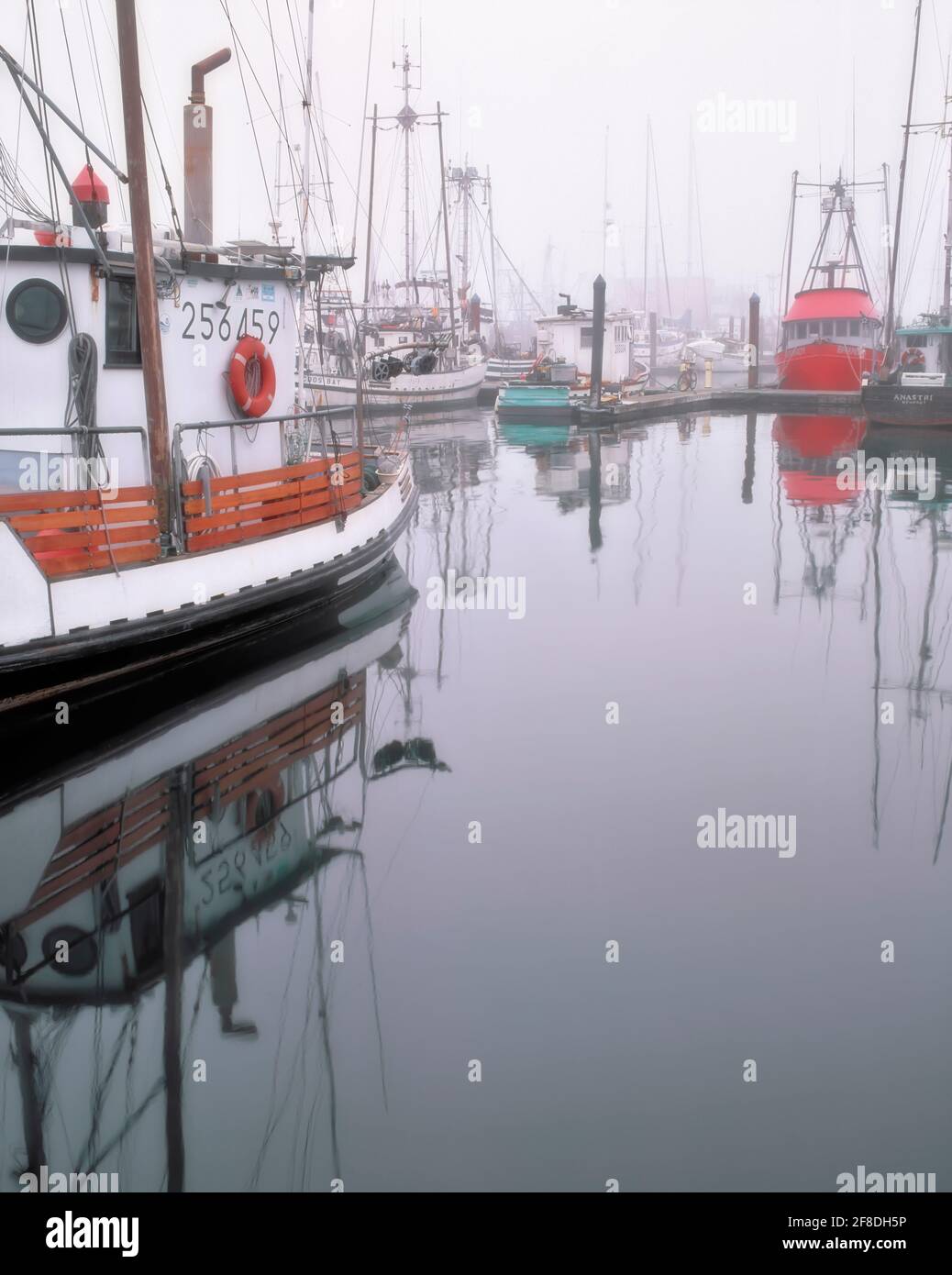 Lifting of morning fog reveals the commercial fishing fleet at Charleston Harbor on Oregon’s southern coastline near Coos Bay. Stock Photo