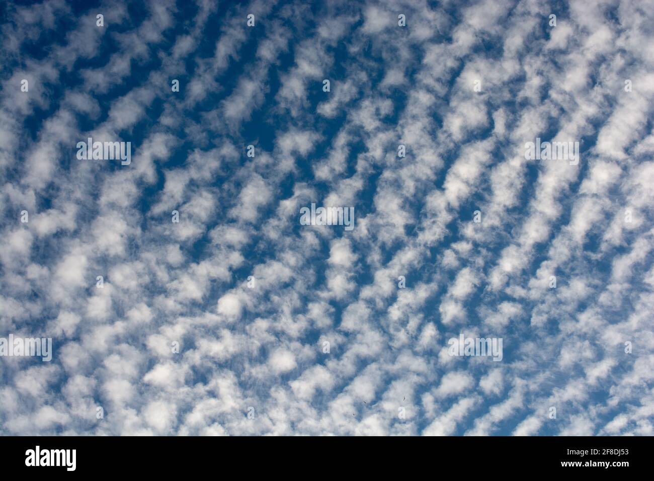 Low angle shot of a beautiful blue sky with white fluffy clouds Stock ...